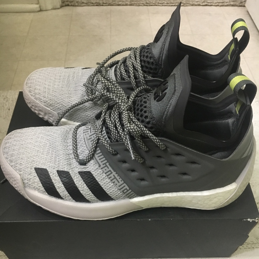 Adidas Harden Vol. 2 (perfect condition)